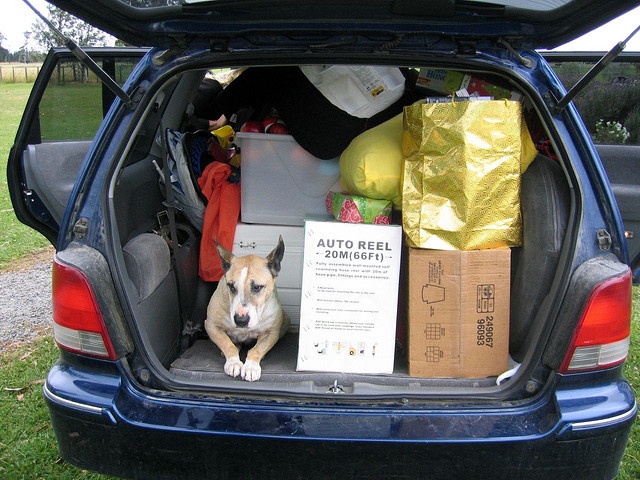 Moving: Maximizing Space When Packing Your Car - Poorer Than You