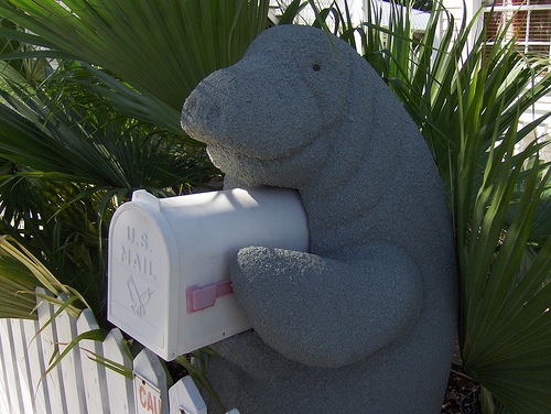 Manatee Mailbox by Joe Shlabotnik on Flickr