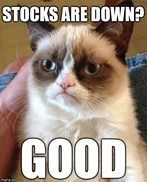 Stocks are down? GOOD! Grumpy cat is buying.